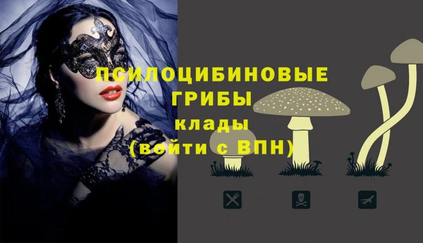 кокаин премиум Богданович