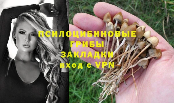 кокаин перу Богородицк